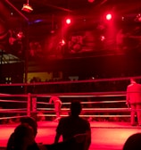 A wrestling ring is illuminated with red lighting, creating a dramatic atmosphere. Several people are visible around the ring, with silhouetted spectators in the foreground. Banners or art adorn the upper walls, and the venue has an industrial ceiling with exposed beams.